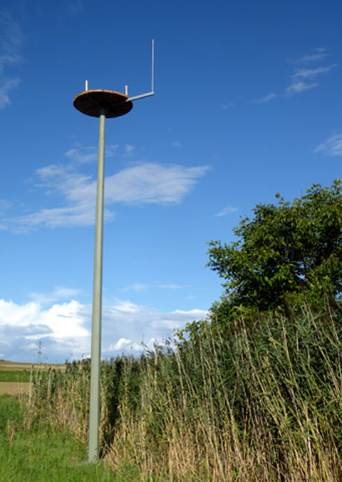 Nisthilfe f�r Wei�storch