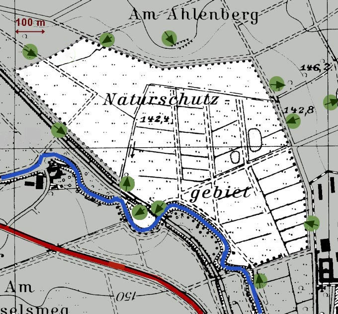 NSG Klosterwiesen von Rockenberg