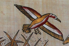 {short description of image}