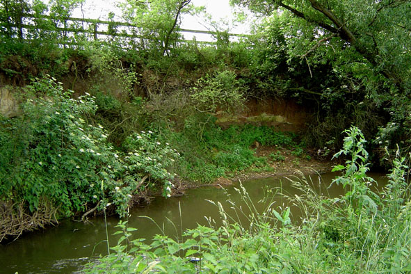 Steilufer im Bogen der Wetter