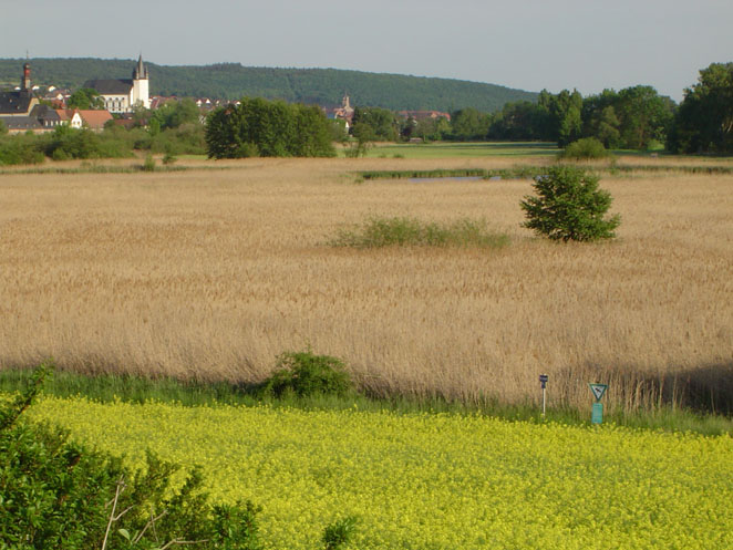 Blick �ber das NSG in s�dlicher Richtung