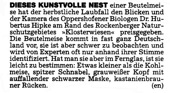 Zeitungstext