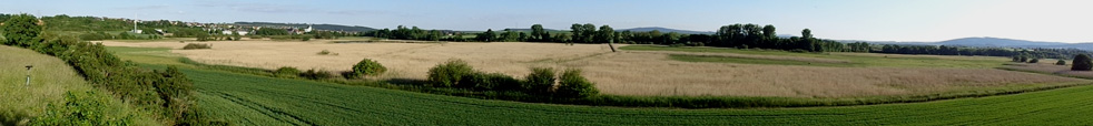 Panorama NSG Klosterwiesen